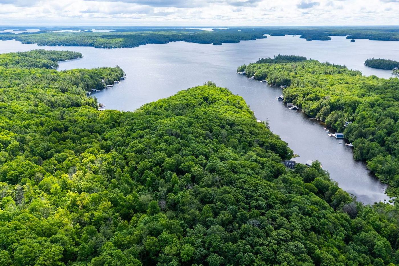 Mortimer's Point